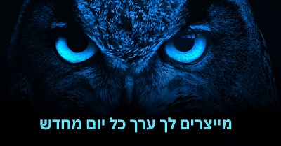 מייצרים לך ערך כל יום